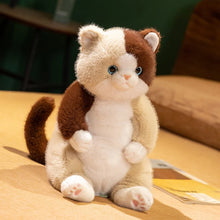 Load image into Gallery viewer, Calico Cat Plush Toy - Adorable Sitting Design-3 colored-45cm-1