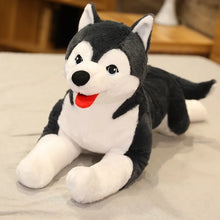 Load image into Gallery viewer, Large Black and White Husky Stuffed Animal Plush Toy-16