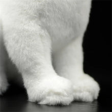 Load image into Gallery viewer, Realistic White Cat Stuffed Animal Plush Toy - Soft Fur Lifelike Detailing-Stuffed Animals-Cat Memorial Gifts,Cats,Stuffed Animal,White Cat-4