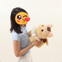 Load image into Gallery viewer, Precious Ragdoll Cat Soft Plush Toy - Floral Lace Kitty
