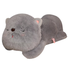 Load image into Gallery viewer, Sleeping Blue Persian Cat Stuffed Animal Plush Toy-6