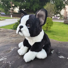 Load image into Gallery viewer, Realistic Lifelike Boston Terrier Stuffed Animal Plush Toy-Dog Memorial Gifts,Stuffed Animal-3