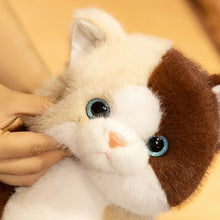 Load image into Gallery viewer, Calico Cat Plush Toy - Adorable Sitting Design-4