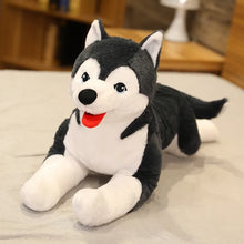 Load image into Gallery viewer, Large Black and White Husky Stuffed Animal Plush Toy-9