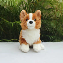 Load image into Gallery viewer, Corgi Stuffed Animal Plush Toys - Realistic Lifelike Soft Sitting Corgis-A-28cm-5