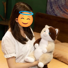 Load image into Gallery viewer, Calico Cat Plush Toy - Adorable Sittinga Design-8