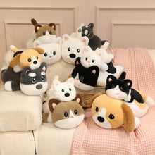 Load image into Gallery viewer, Westie Plush Toy - Kawaii Big Eyed Baby-Stuffed Animals-Dog Memorial Gifts,Stuffed Animal,West Highland Terrier-17
