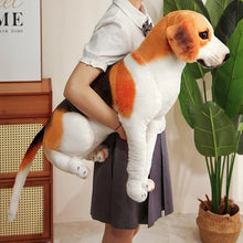 Load image into Gallery viewer, Beagle Stuffed Animal Plush Toy - Realistic Lifelike Sitting Beagles-1
