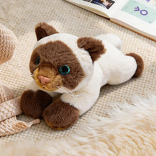 Load image into Gallery viewer, Siamese Cat Stuffed Animal - Adorable Belly Flop Cat-Siamese cat-26cm-1