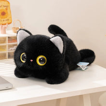 Load image into Gallery viewer, Small Black Cat Plush Toy - Big Eyes Belly Flop-20cm black cat-1