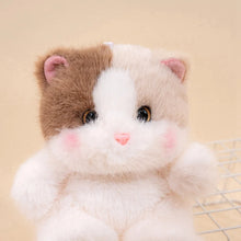 Load image into Gallery viewer, Chonky Brown and White Cat Plush - Cuddly Chubby-Cheeks Kitty-24