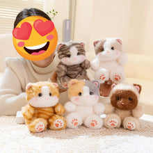 Load image into Gallery viewer, Small Brown Tabby Cat Plush Toy - Precious Chubby Cheeks Sitting Kitty-Stuffed Animals-Cat Memorial Gifts,Cats,Stuffed Animal,Tabby Cat-7