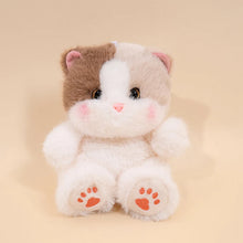 Load image into Gallery viewer, Chonky Brown and White Cat Plush - Cuddly Chubby-Cheeks Kitty-13cm-brown white-1