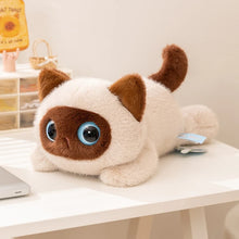 Load image into Gallery viewer, Small Calico Cat Plush Toy - Big Eyes Belly Flop-4