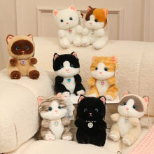 Load image into Gallery viewer, Small Calico Cat Plush Toy - Heart Shaped Necklace-25