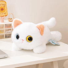 Load image into Gallery viewer, Small White Cat Plush Toy - Heterochromia Eyes - Big Eyes Belly Flop-8