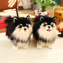 Load image into Gallery viewer, Adorable Black and Tan Pomeranian Plush Toy Gift-14