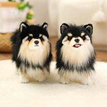 Load image into Gallery viewer, Adorable Black and Tan Pomeranian Plush Toy Gift-19