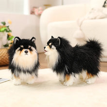 Load image into Gallery viewer, Adorable Black and Tan Pomeranian Plush Toy Gift-20