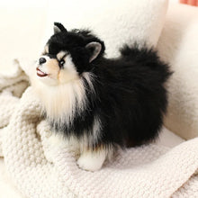 Load image into Gallery viewer, Adorable Black and Tan Pomeranian Plush Toy Gift-23