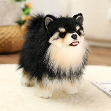 Load image into Gallery viewer, Adorable Black and Tan Pomeranian Plush Toy Gift-A-25x35cm-25