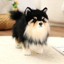 Load image into Gallery viewer, Adorable Black and Tan Pomeranian Plush Toy Gift-B-25x35cm-24