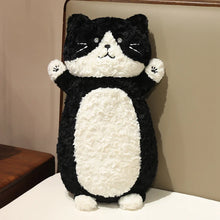 Load image into Gallery viewer, Adorable Black and White Cat Pillow and Plush Toy - Curly Coat Cutie-2-45cm-1