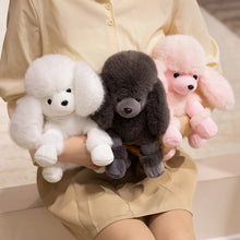 Load image into Gallery viewer, Adorable Black Poodle Stuffed Animal Plush Toy-Stuffed Animals-Dog Memorial Gifts,Poodle,Stuffed Animal-3