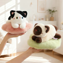 Load image into Gallery viewer, Adorable Calico Cat Plush Toy - Cosy Cushion Cutie-3