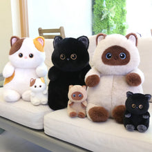 Load image into Gallery viewer, Adorable Calico Cat Teddy Bear Soft Plush Toy - Chubby Big-Eyed Cutie-7