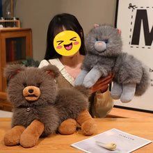 Load image into Gallery viewer, Adorable Chocolate and Tan Pomeranian Plush Toy – Fluffy Sitting Puppy Design-1