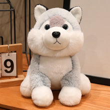 Load image into Gallery viewer, Adorable Grey and White Siberian Husky Plush Toy Puppy Gift-Husky-26cm-1