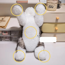 Load image into Gallery viewer, Adorable Grey Husky Stuffed Animal Plush Toy-Stuffed Animals-Dog Memorial Gifts,Siberian Husky,Stuffed Animal-11