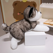 Load image into Gallery viewer, Adorable Grey Husky Stuffed Animal Plush Toy-Stuffed Animals-Dog Memorial Gifts,Siberian Husky,Stuffed Animal-13