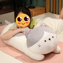 Load image into Gallery viewer, Adorable Large Gray and White Cat Stuffed Animal Plush Toy - Cuddly Long Snuggler-13
