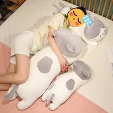 Load image into Gallery viewer, Adorable Large Gray and White Cat Stuffed Animal Plush Toy - Cuddly Long Snuggler-11