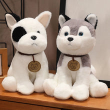 Load image into Gallery viewer, Adorable Pied French Bulldog Stuffed Animal Plush Toy-2