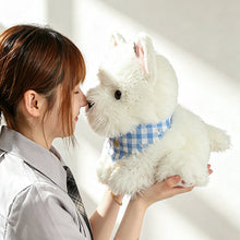 Load image into Gallery viewer, Adorable Pomeranian Plush Toys - White and Sable Coat Colors - Baby Blue Checked Bib-6