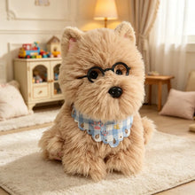 Load image into Gallery viewer, Adorable Pomeranian Plush Toys - White and Sable Coat Colors - Baby Blue Checked Bib-BROWN-25cm-10