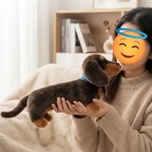 Load image into Gallery viewer, Adorable Realistic Chocolate and Tan Dachshund Plush Toy – Wiener Dog Lover Gift-2