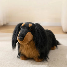 Load image into Gallery viewer, Adorable Realistic Long Haired Black Tan Dachshund Plush Toy – Wiener Dog Lover Gift-4