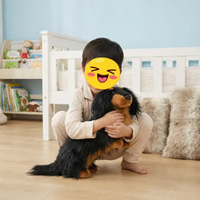 Load image into Gallery viewer, Adorable Realistic Long Haired Black Tan Dachshund Plush Toy – Wiener Dog Lover Gift-1