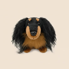 Load image into Gallery viewer, Adorable Realistic Long Haired Black Tan Dachshund Plush Toy – Wiener Dog Lover Gift-6