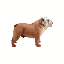 Load image into Gallery viewer, Adorable Realistic Resin English Bulldog Figurines-Big Bulldog 728g-6