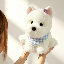 Load image into Gallery viewer, Adorable Samoyed Plush Toy - Baby Blue Checked Bib Sammy-6