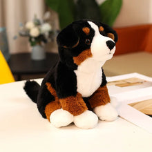 Load image into Gallery viewer, Adorable Sitting Bernese Mountain Dog Stuffed Animal Plush Toy-Stuffed Animals-Bernese Mountain Dog,Dog Memorial Gifts,Stuffed Animal-Bernese Mountain-2