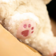 Load image into Gallery viewer, Adorable Sitting Devon Rex Stuffed Animal Plush Toys-Cats-10