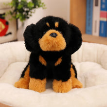 Load image into Gallery viewer, Adorable Small Realistic Rottweiler Plush Toy-3