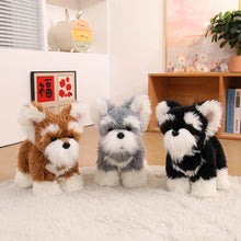 Load image into Gallery viewer, Adorable Standing Schnauzer Stuffed Animal Plush Toys - 4 Coat Colors-6