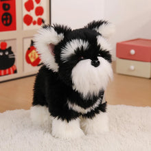 Load image into Gallery viewer, Adorable Standing Schnauzer Stuffed Animal Plush Toys - 4 Coat Colors-black-22cm-13